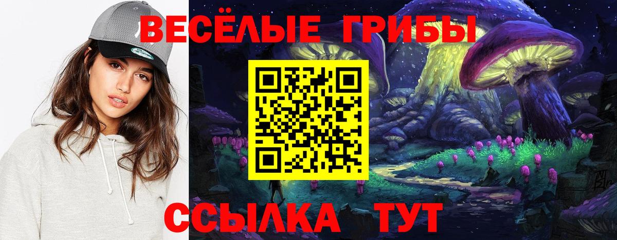 Псилоцибиновые грибы прущие грибы Алушта